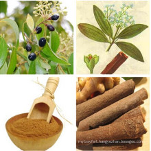 Ceylon Cinnamon Bark Extract